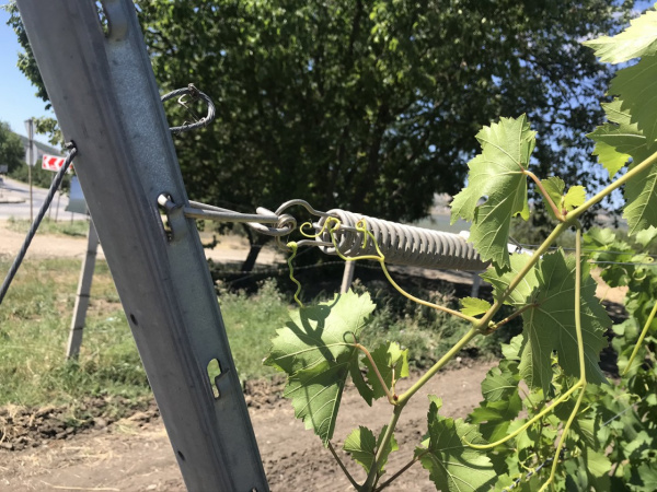 Пружина-компенсатор (оцинк, под замок Gripple, с V креплением для металлического столба)